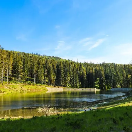Domek alpejski W Istebnej